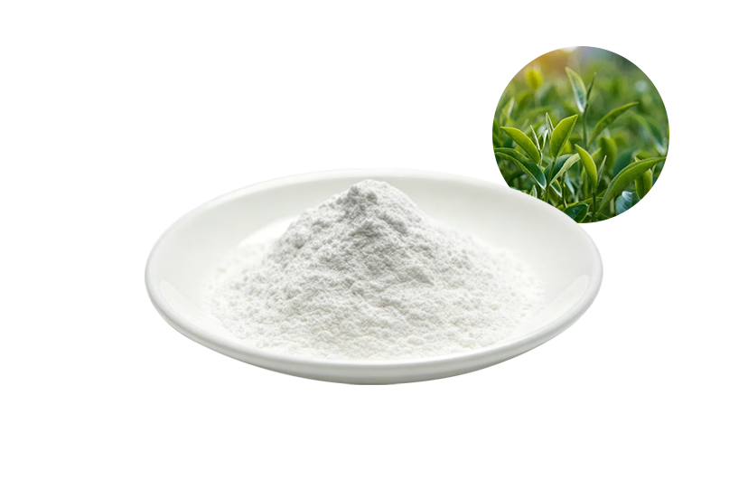 Best L Theanine Powder